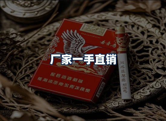 专业团队办公环境